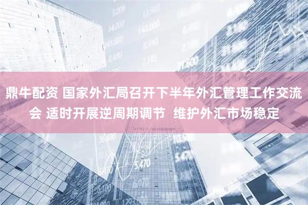 鼎牛配资 国家外汇局召开下半年外汇管理工作交流会 适时开展逆周期调节  维护外汇市场稳定