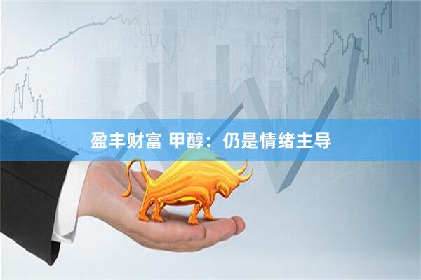 盈丰财富 甲醇：仍是情绪主导