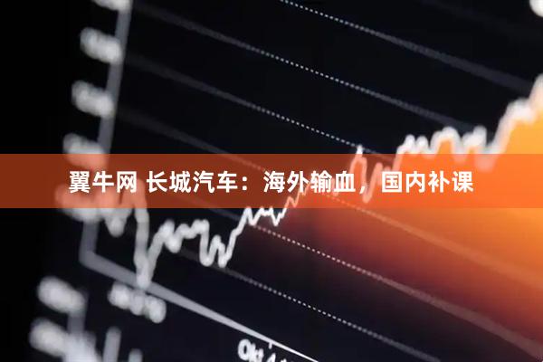 翼牛网 长城汽车：海外输血，国内补课