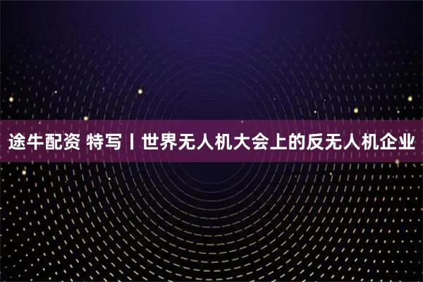 途牛配资 特写丨世界无人机大会上的反无人机企业